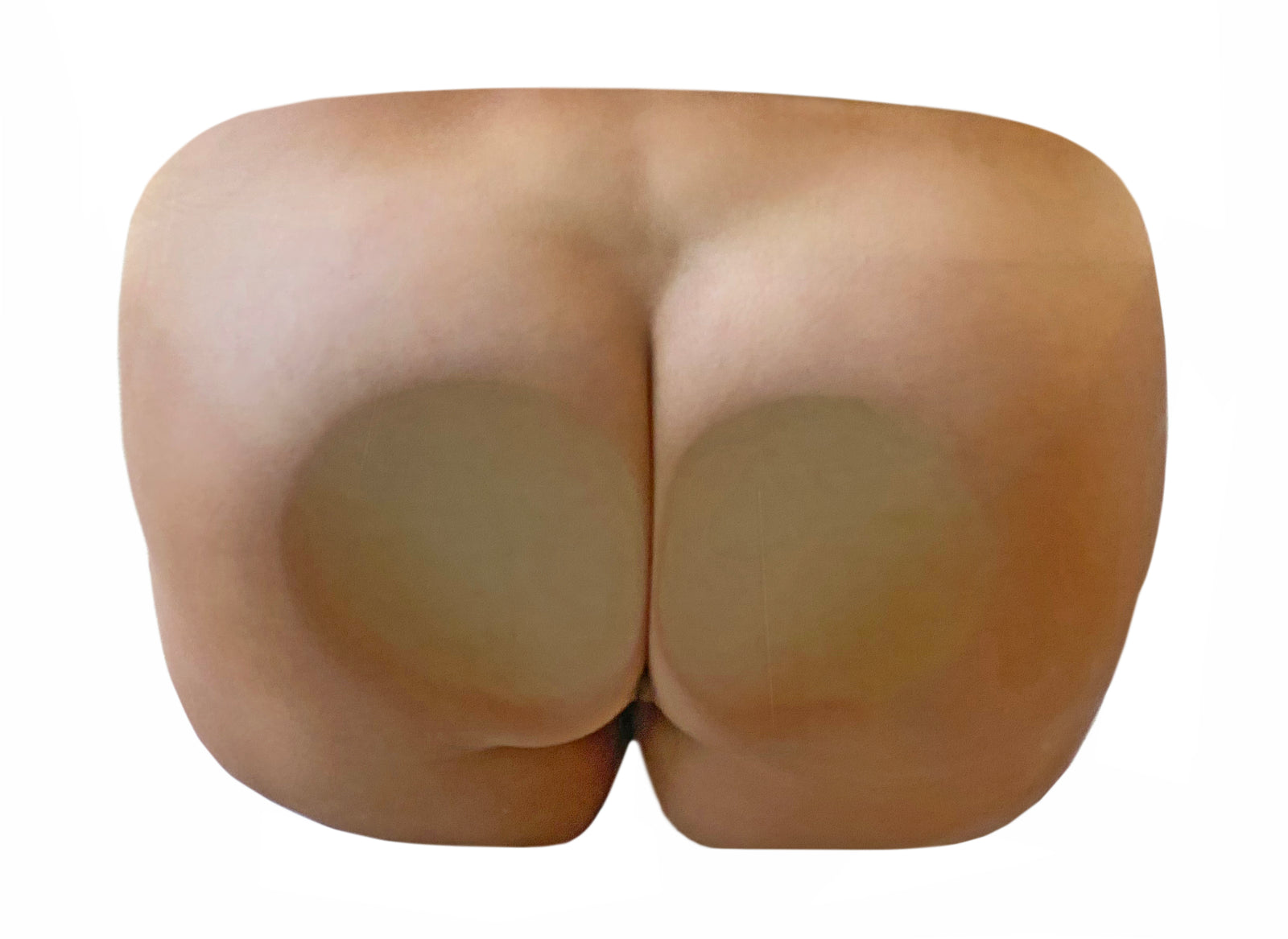 "Rear View Camera" Butt in the Backup Camera Prank