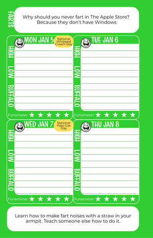 FUN365 Journal: Your Daily Guide to an Intentionally Fun, Belly-Laugh-Filled 2026