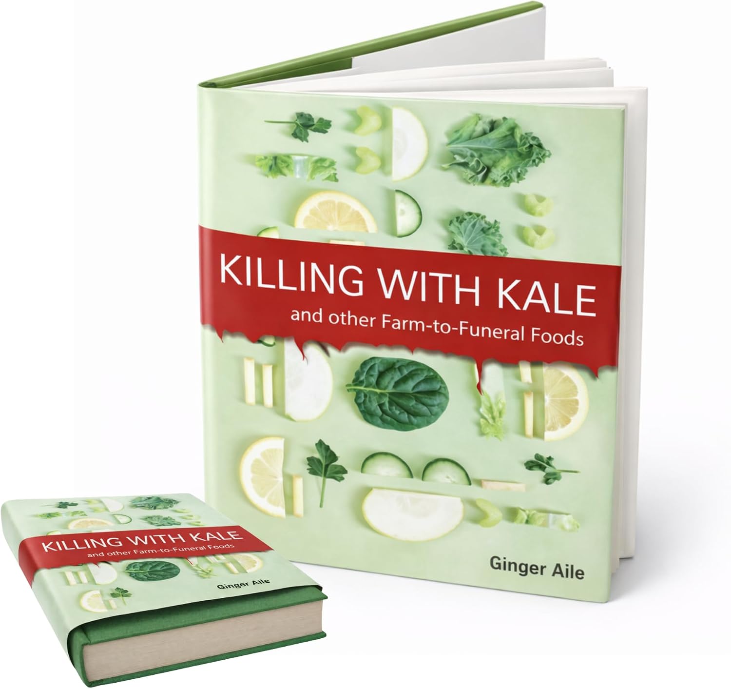 Prank Book Jacket Covers