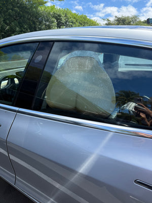 Full Moon Car Window Cling: Backseat Bum Prank, Static Decal