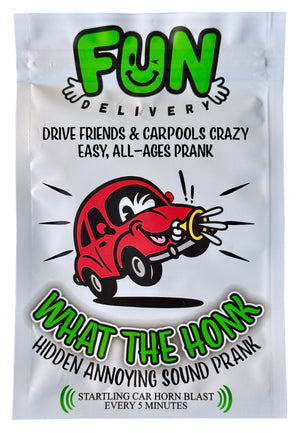 What The Honk: Hidden Annoying Car Horn Prank