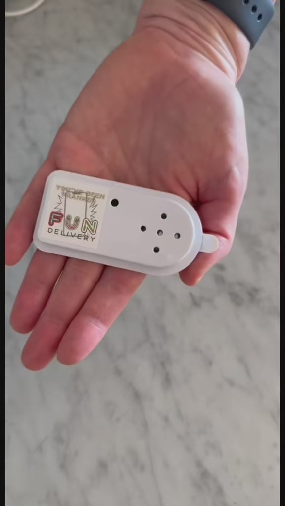 Flippin' Phone hidden ringtone prank demo