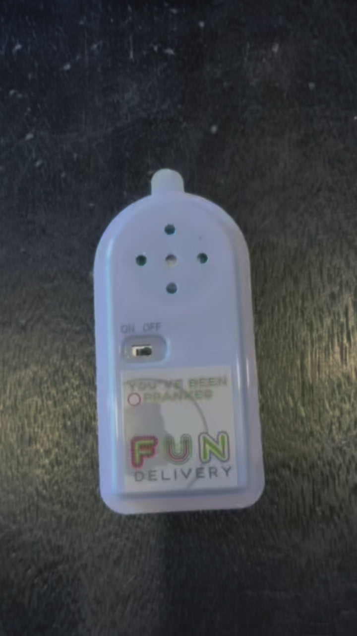 Video on how to use Annoise recordable prank device