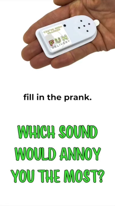 Annoise hidden custom sound prank demo