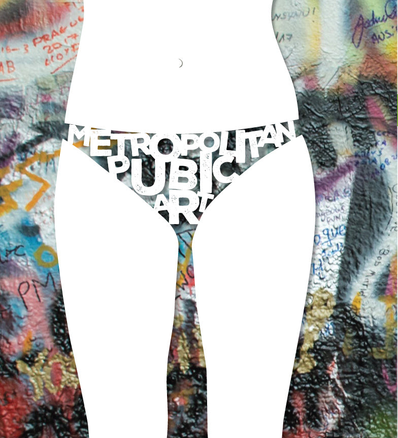 Novelty underwear themed prank book jacket cover